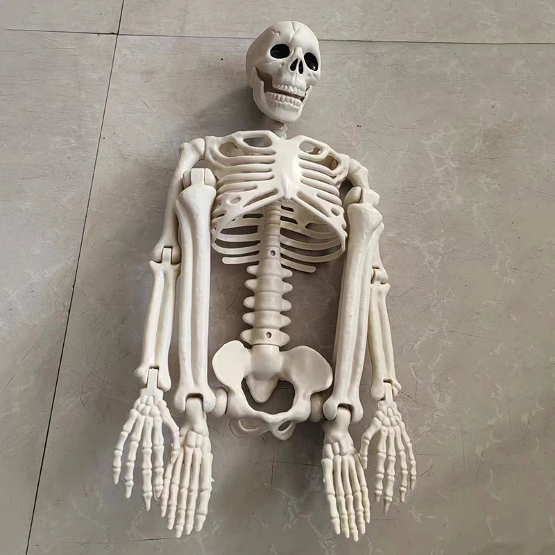 Spooky Skeleton: Movable Skull and Bones Halloween Prop for a Terrifying Display